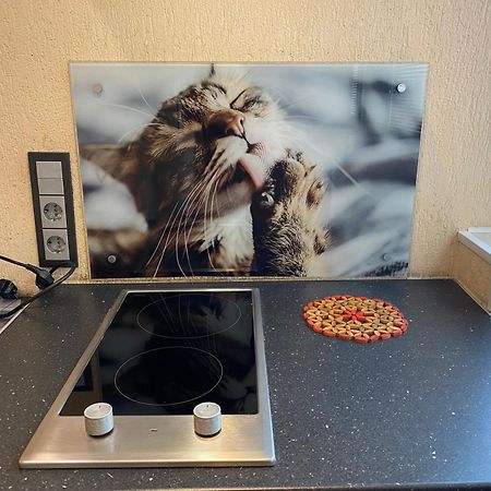 Cat Garden Superior Apartments ריגה מראה חיצוני תמונה